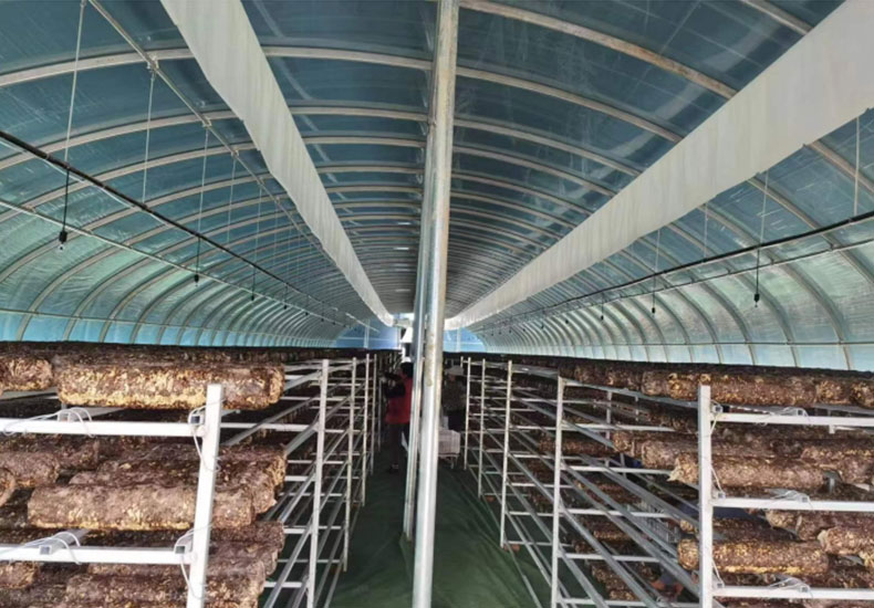 淠东乡蔬菜产业项目 （香菇基地）